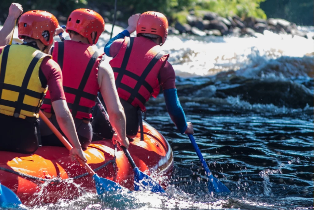 Career Insights: DiSC and NEC4. Optimising teamwork and delivery with behavioural intelligence