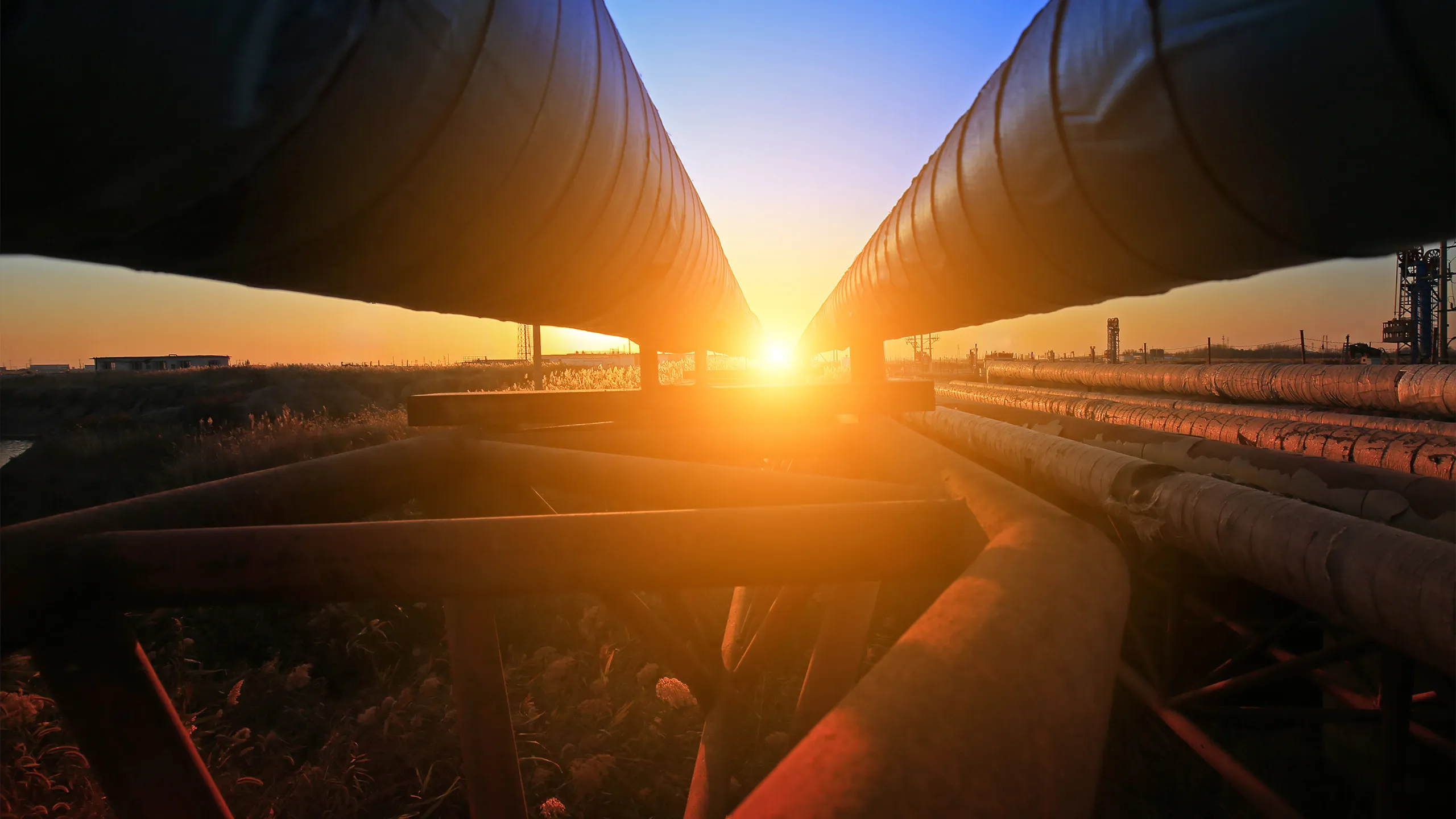 Process and Manufacturing